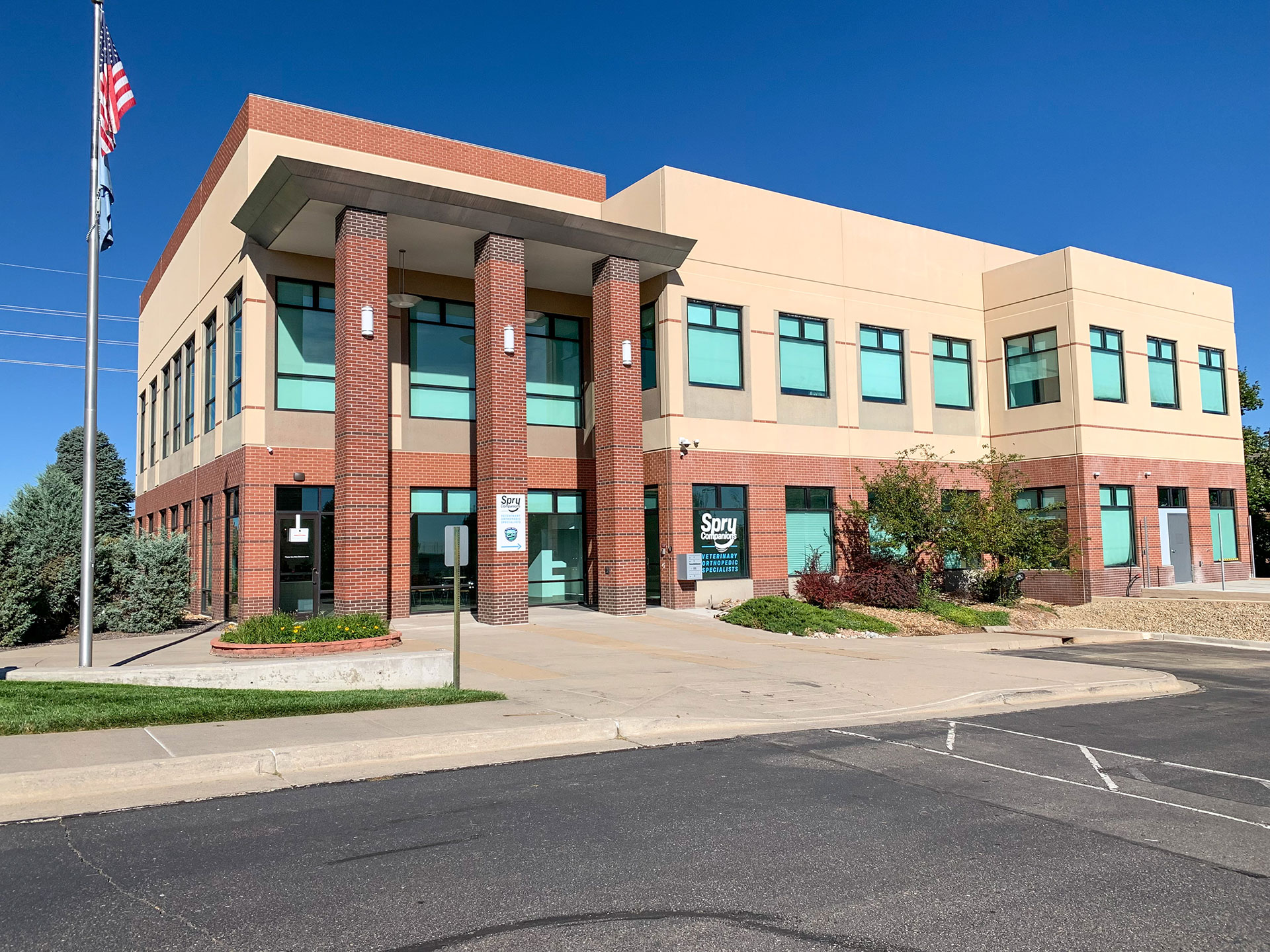 Spry Companions: Veterinary Orthopedic Specialists